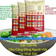 Vệ Binh Tinh Tú