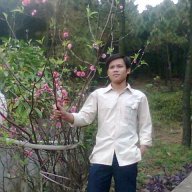 bacao
