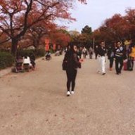 Ann.osaka