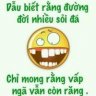 Ngôn nguyễn